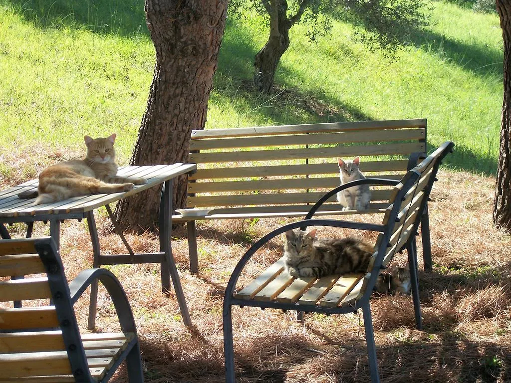 Le Poiane B&B Vacanze San Piero Patti Frühstückspension
